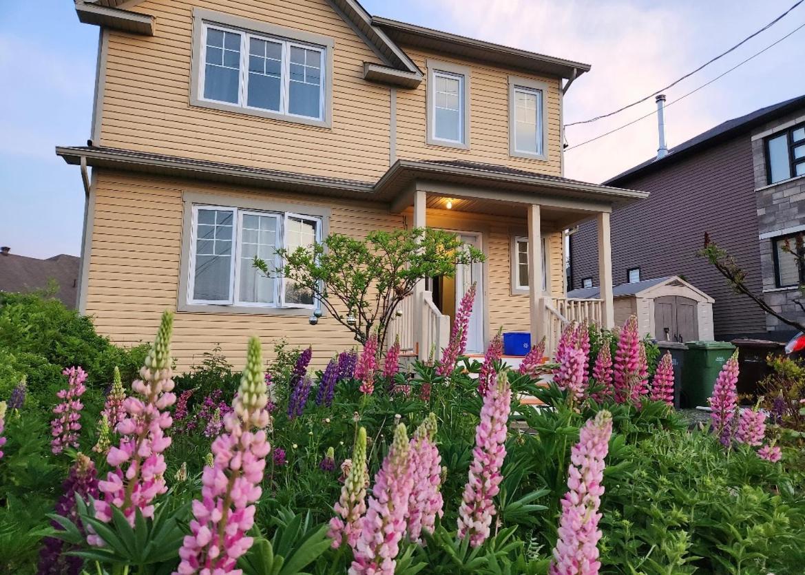 Maison Chaleureuse, Energetique Et Florale แชร์บูร์ก ภายนอก รูปภาพ