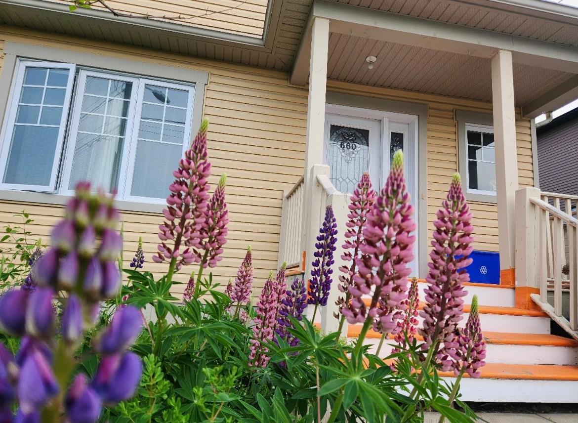 Maison Chaleureuse, Energetique Et Florale แชร์บูร์ก ภายนอก รูปภาพ